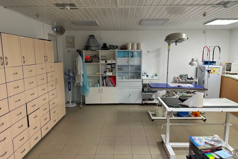 Прокуратура проверила ветклиники Прокуратура Севастополя