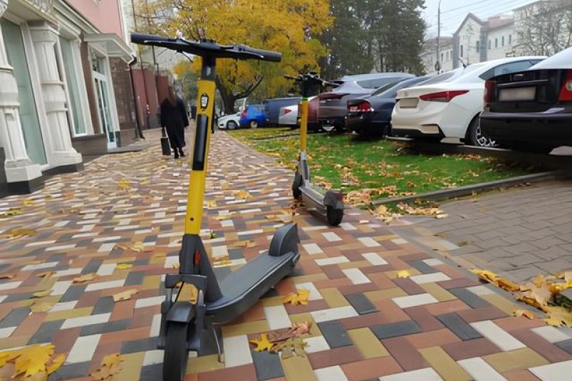 Опрос об ограничениях движения самокатов могут снова провести в Ставропольском крае ИА Stavropol.Media