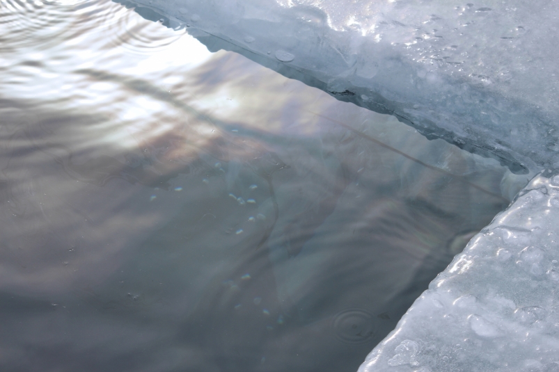 Опасность подо льдом: кому противопоказано моржевание Юлия Ушакова, ИА IrkutskMedia