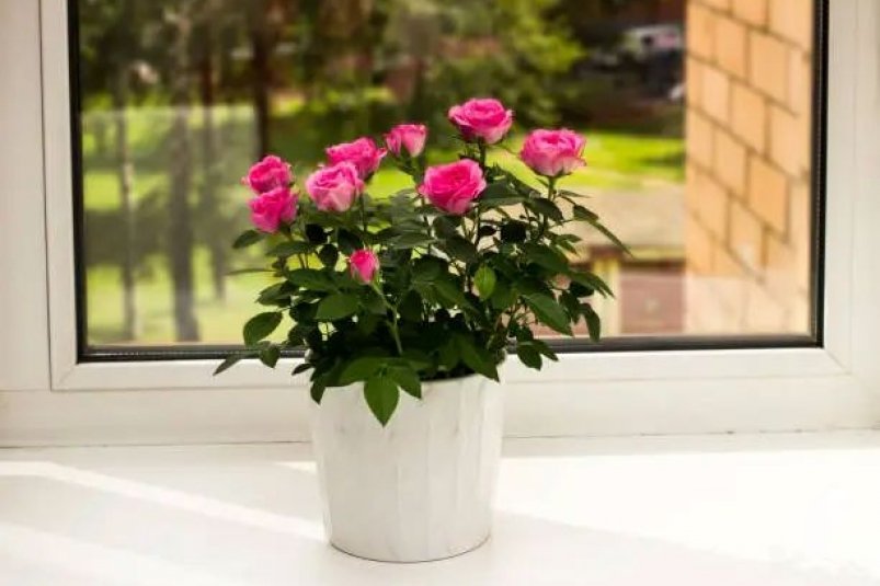 Тематическое фото Unsplash.com