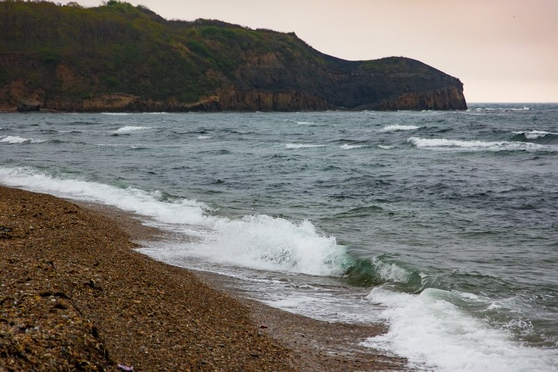 Море после шторма может выбросить интересные вещи Илья Аверьянов, ИА PrimaMedia.ru