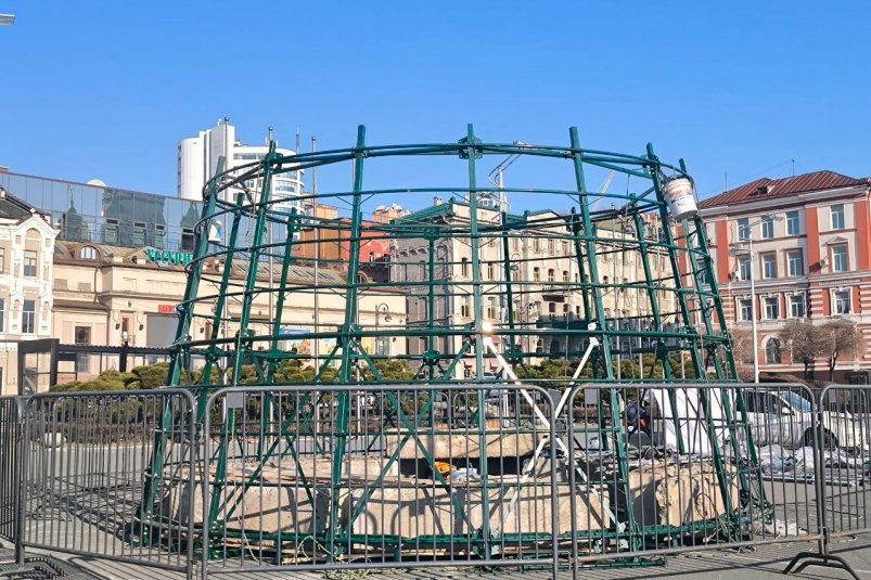 В центре Владивостока начали монтировать новогоднюю елку ИА PrimaMedia