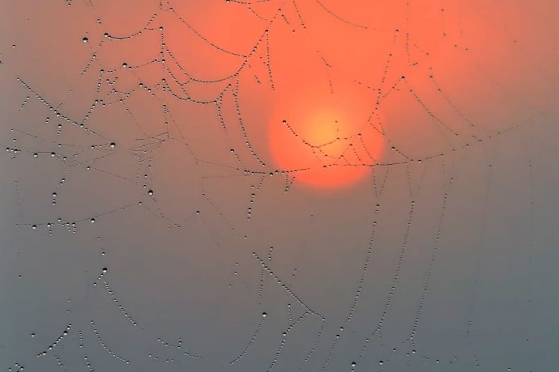 Ненастье снова посетит Приангарье - ожидается снег и похолодание в воскресенье Тг-канал &quotFototelegka"(18+)