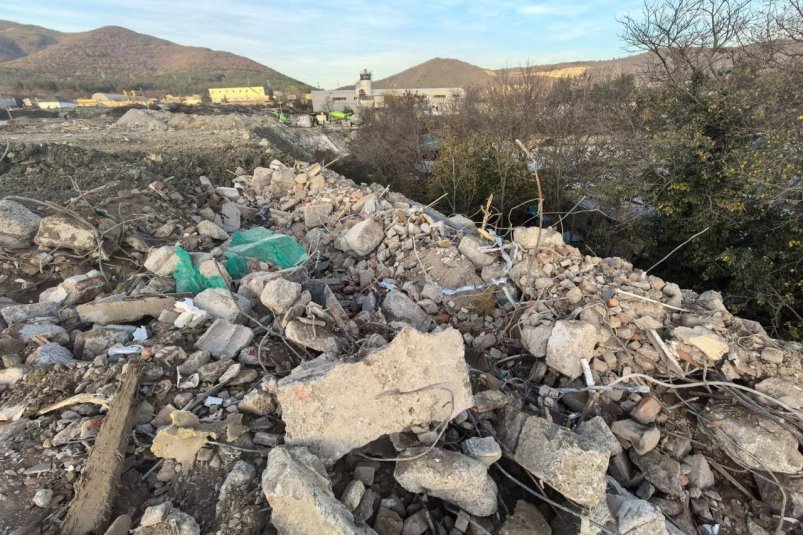 Краснокнижный можжевельник уничтожили ради свалки под Геленджиком Пресс-служба Прокуратуры Кубани