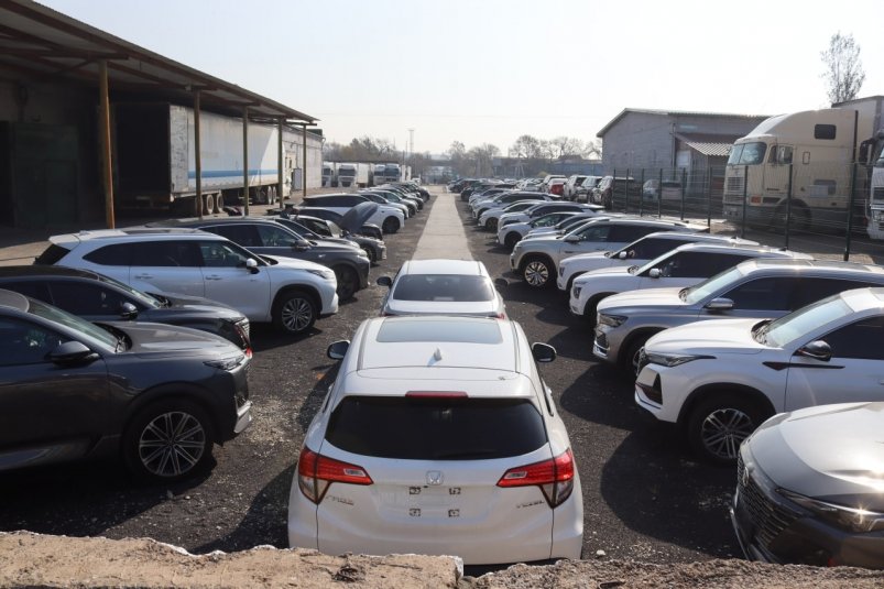 Тематическое фото Александр Шепырев, ИА UssurMedia