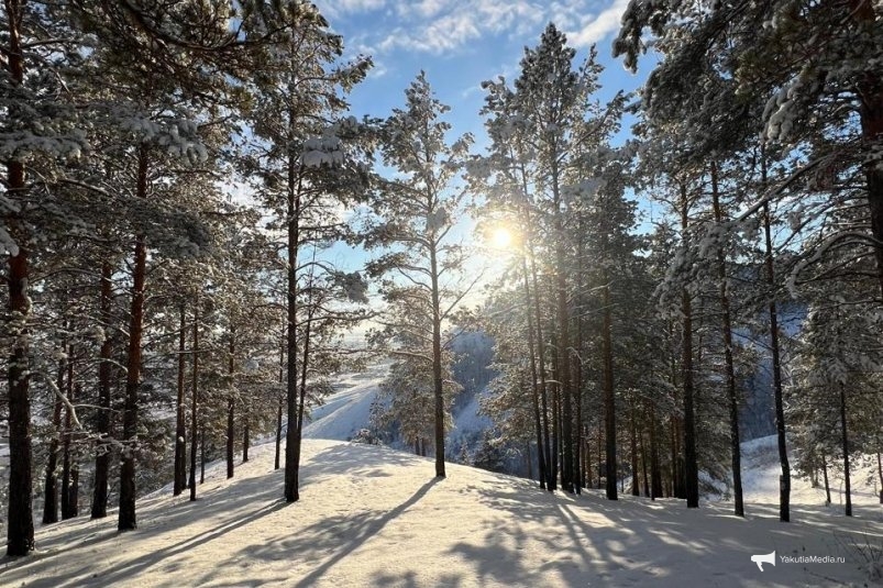 Гороскоп на 24 ноября: Дева наводит порядок, Весы сохраняют баланс ИА YakutiaMedia