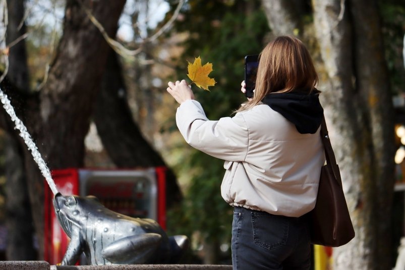 Последняя неделя осени на Ставрополье начнётся с жары Сергей Бумагин, ИА Stavropol.Media