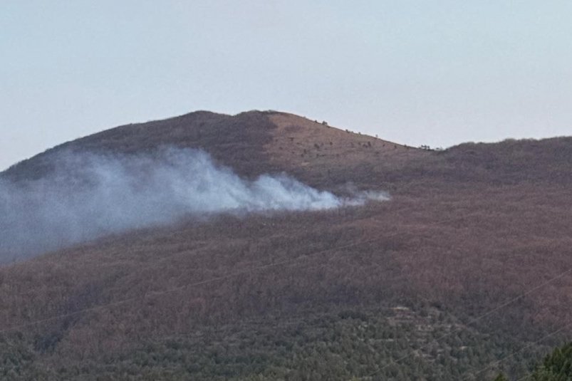 Лесной пожар в Новороссийске локализовали Оперштаб Кубани