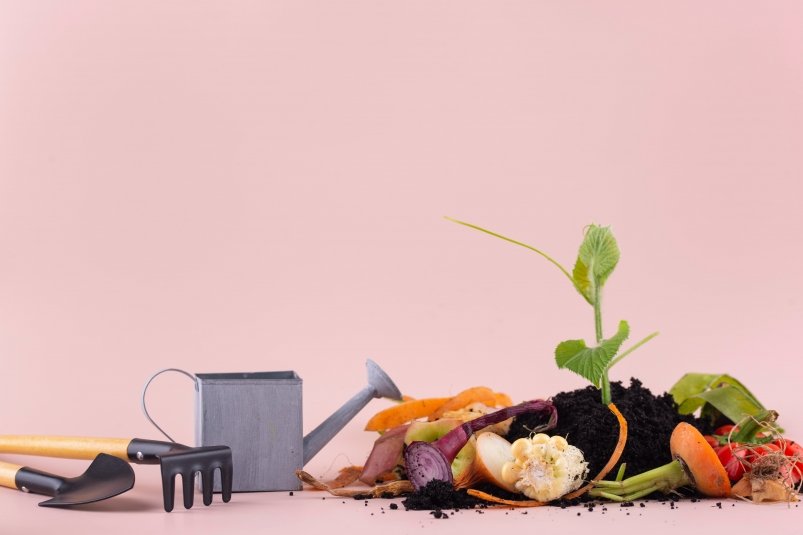 Тематическое фото freepik.com