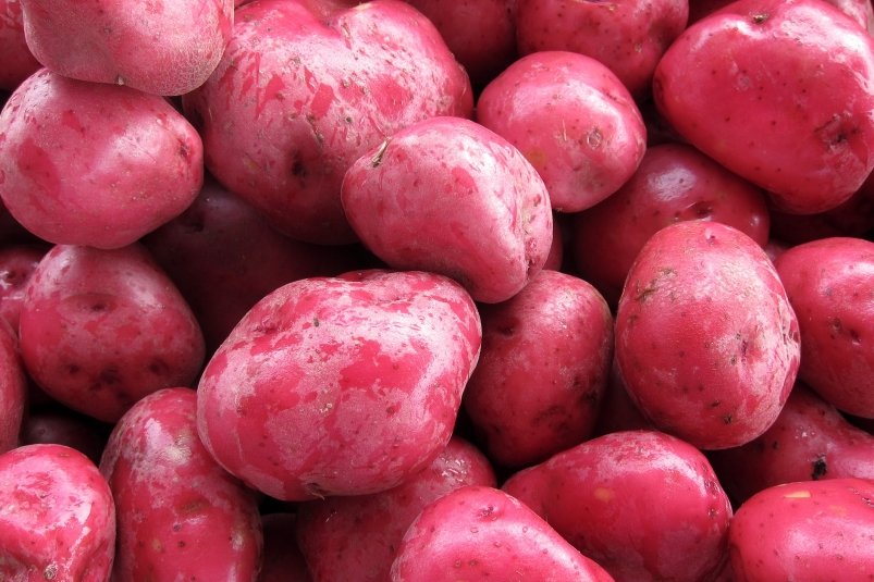 pxhere.com Robert Couse-Baker