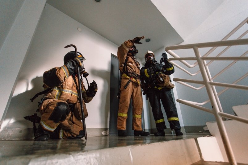 Тематическое фото Илья Аверьянов, ИА PrimaMedia