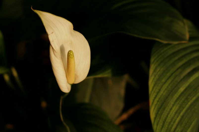 Тематическое фото Unsplash.com (18+)