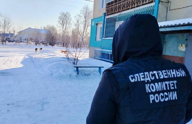 Экс-глава Тайшетского района оштрафован за халатность при отлове бродячих собак Пресс-служба СУ СКР по Иркутской области