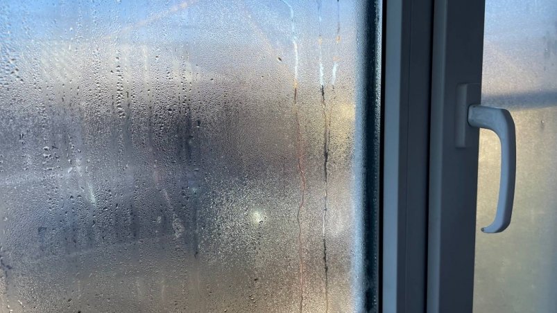  ИА SevastopolMedia