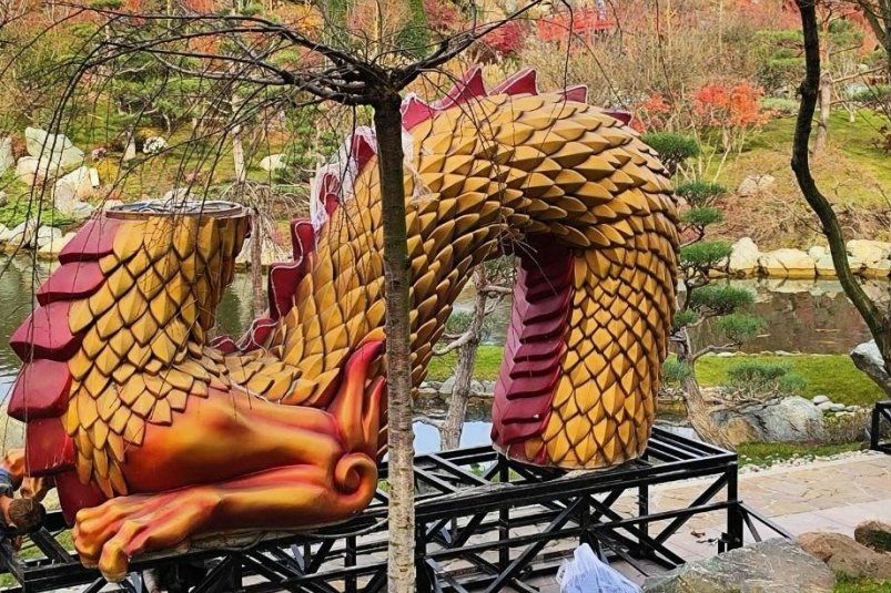 Золотой дракон вернулся в Японский сад Краснодара t.me/japanese_park_krd