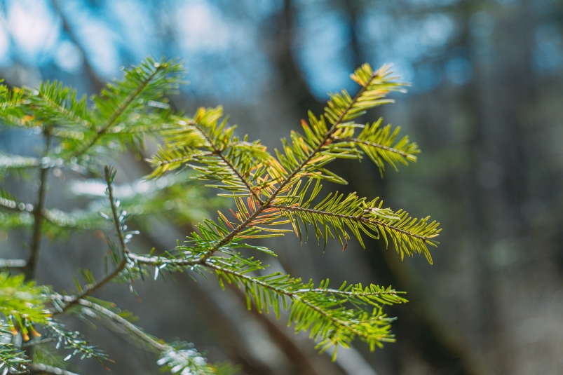 Тематическое фото Мария Смитюк, ИА PrimaMedia