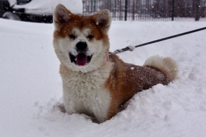 Тематическое фото ИА ЕАОMedia