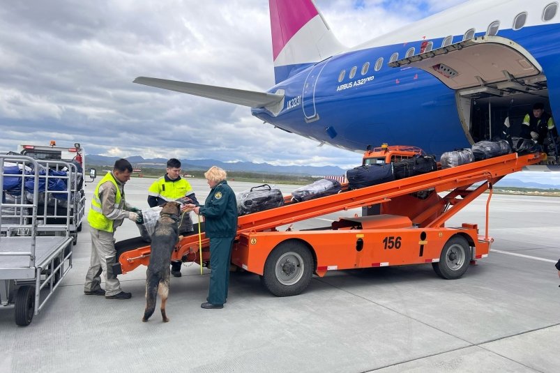 Таможенники в аэропорту пресс-служба Сахалинской таможни