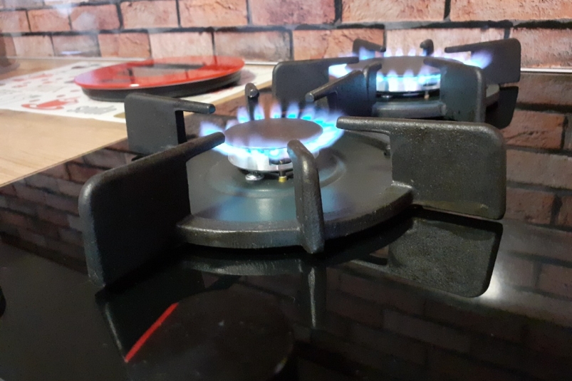 Россиянам могут предоставить субсидию на обслуживание газовых плит Марина  Померанцева , ИА EAOMedia