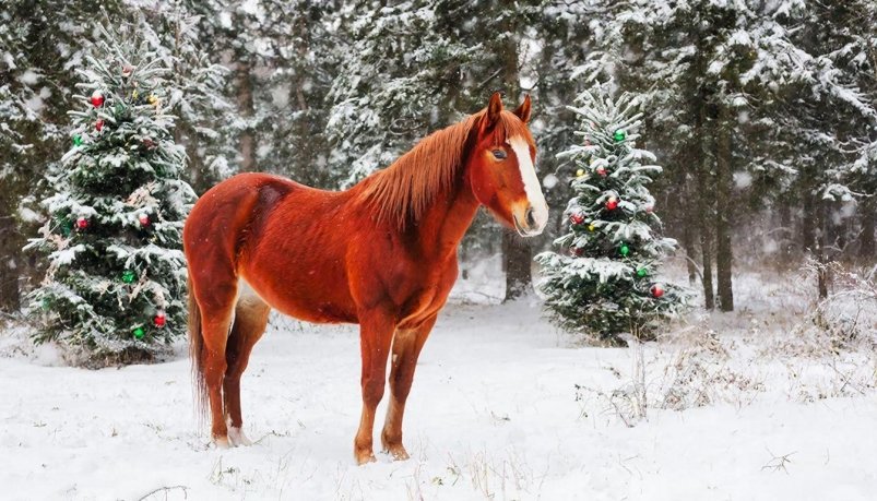 Тематическое фото нейросеть Kandinsky (18+)