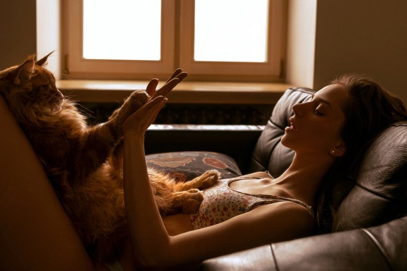 Почему кошки начинают бегать и шуршать после 4 утра: как их отучить от этого раз и навсегда pxhere.com