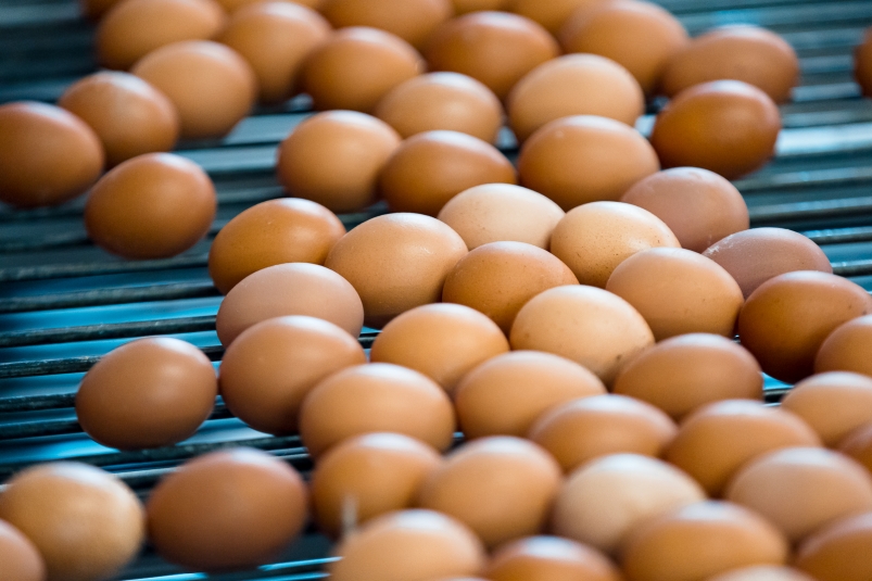 Тематическое фото Илья Аверьянов, ИА PrimaMedia