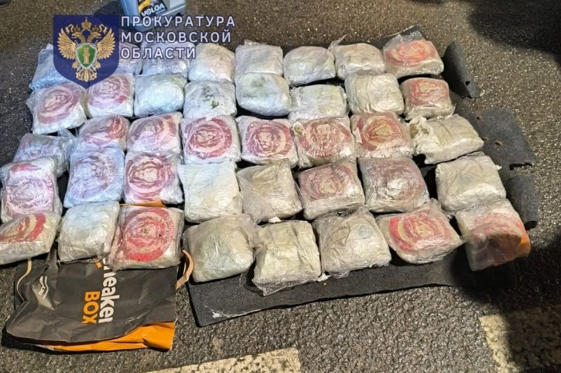 Тематическое фото Telegram-канал прокуратуры Подмосковья