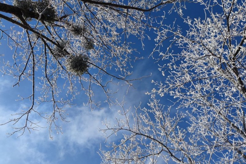 Тематическое фото Артём Хорошилов  , ИА Stavropol.Media
