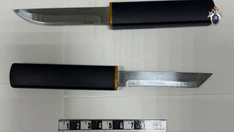 Из-за ревности житель Минвод ударил ножом в живот беременную жену СУ СКР по Ставрополью