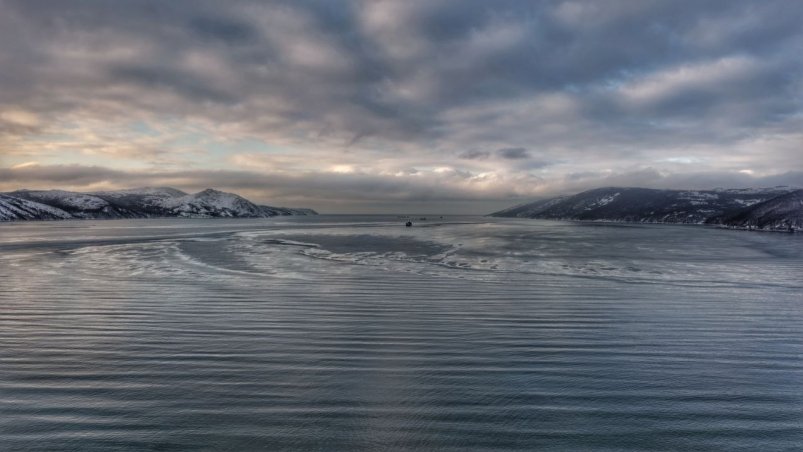 Тематическое фото Юлия Егорова