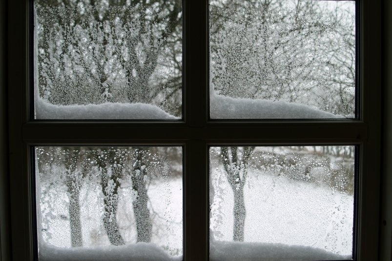 Тематическое фото pxhere.com