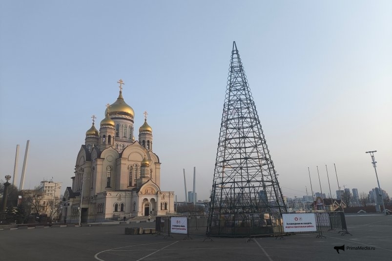 На центральной площади Владивостока устанавливают главную елку ИА PrimaMedia