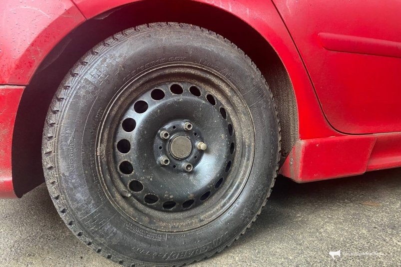 Тематическое фото ИА SevastopolMedia