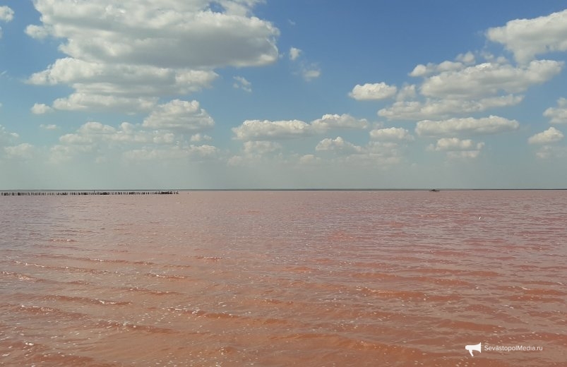Озеро Сасык-Сиваш Алексей Парамонов, ИА SevastopolMedia