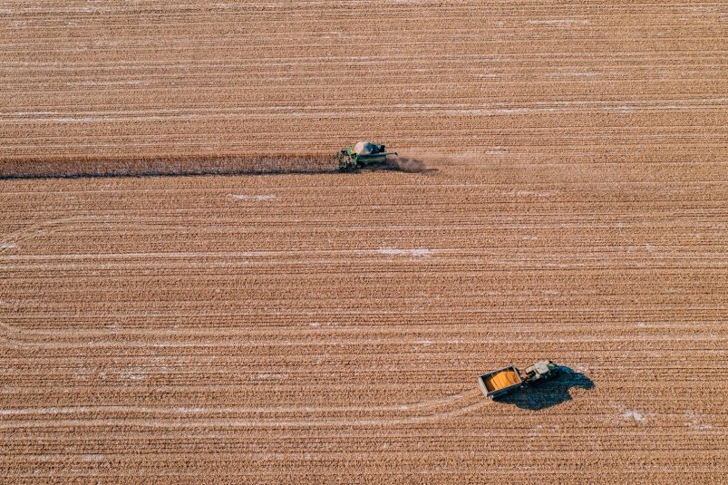 сбор урожая Мария Смитюк, ИА PrimaMedia.ru