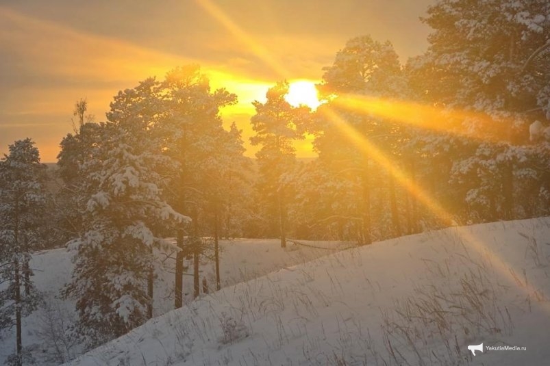 Гороскоп на 26 ноября: Телец обрабатывает информацию, Водолей - полученный опыт ИА YakutiaMedia