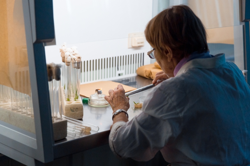 пробирка, пробирки, колба, анализ, анализы, лаборатория, исследование Илья Аверьянов, ИА PrimaMedia