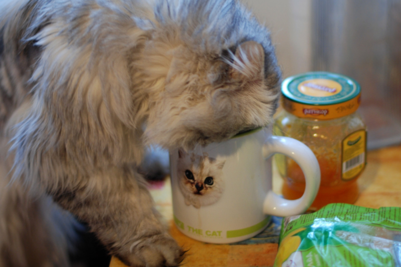 Тематическое фото Сайт pxhere.com