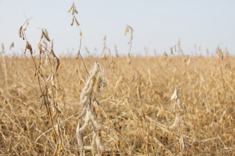 Тематическое фото правительство ЕАО