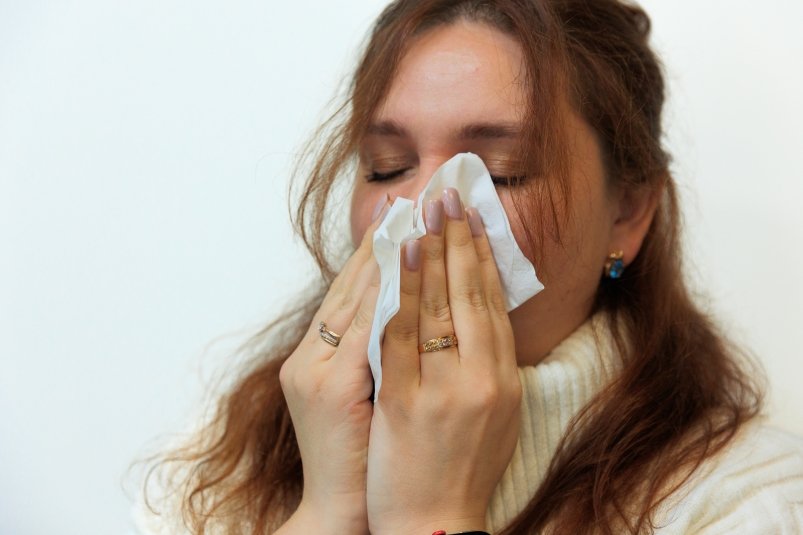 Тематическое фото Яна Гайдук, ИА PrimaMedia.ru