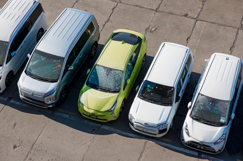 Тематическая фотография Илья Аверьянов, ИА PrimaMedia