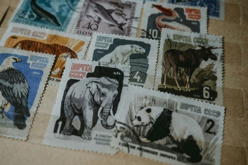 Тематическое фото unsplash.com