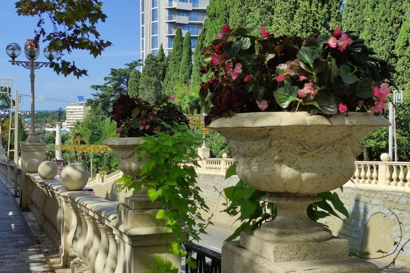 Сочи вошел в пятерку лучших городов России по качеству жизни Карина Подкина