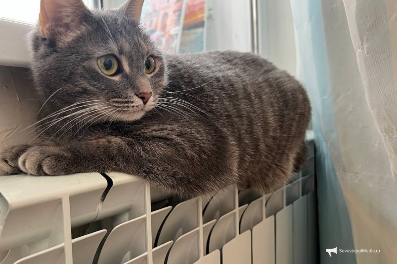 Тематическое фото ИА Stavropol.Media