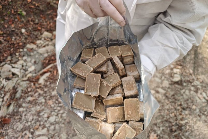 В нацпарке Сочи вакцину от бешенства замаскировали под мясные приманки Пресс-служба нацпарка Сочи