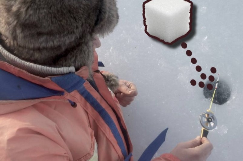 1 кубик в лунку - и через 15 минут у крючка косяк плотвы: зимняя рыбацкая хитрость pxhere.com, ИА StolicaMedia