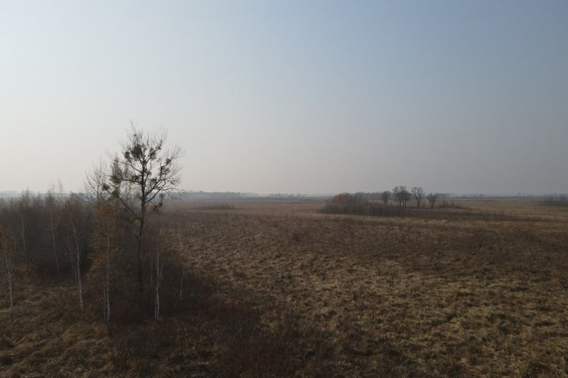 Тематическое фото Россельхознадзор