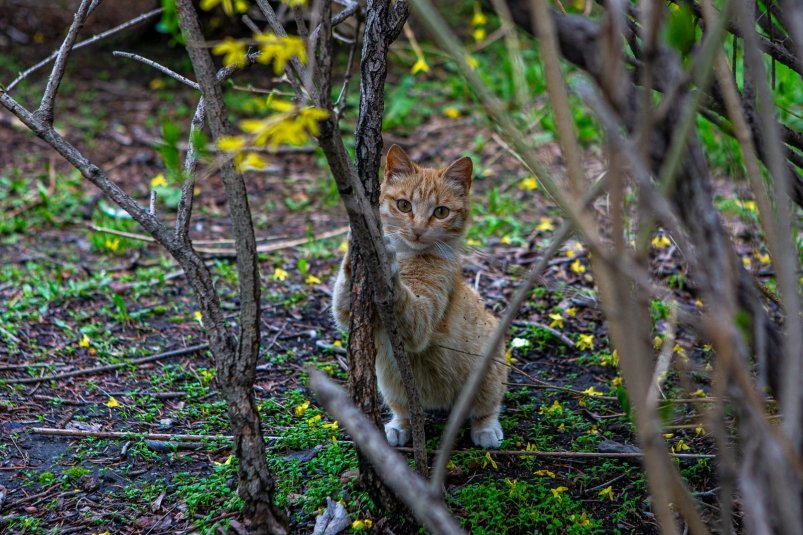 Тематическое фото Мария Смитюк, ИА PrimaMedia.ru
