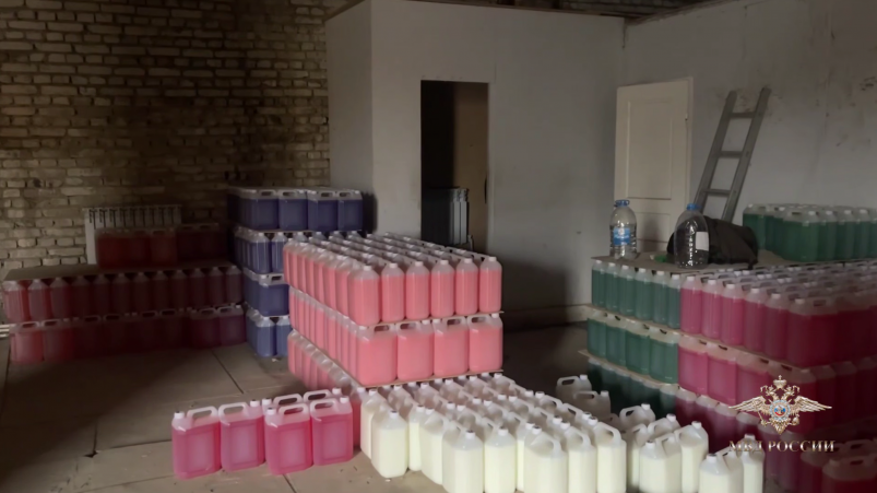 Тематическое фото Telegram-канал официального представителя МВД России Ирины Волк