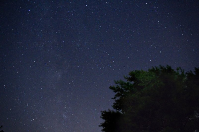 Тематическое фото pxhere.com (18+)